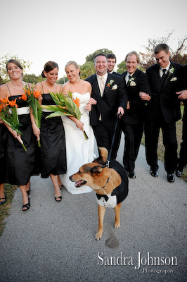 Best Winter Park Civic Center Wedding Photos - Sandra Johnson (SJFoto.com)